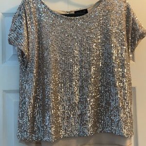 Silver Sequence Top with nude lining